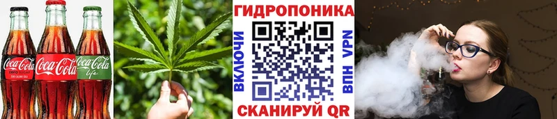 Печенье с ТГК марихуана  darknet как зайти  Дудинка 