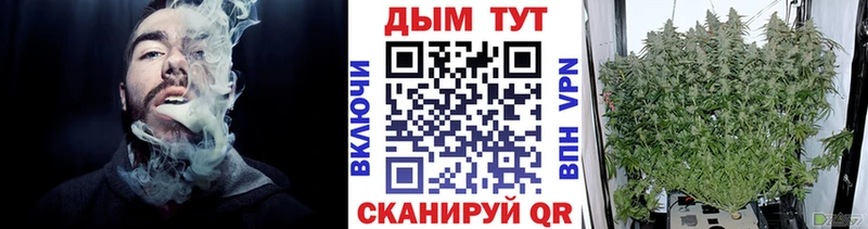 Бошки Шишки SATIVA & INDICA  даркнет сайт  Дудинка 